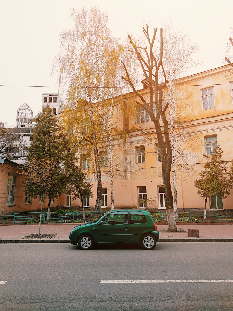 Зріз настроїв або як взагалі у Зеленої справи. 2