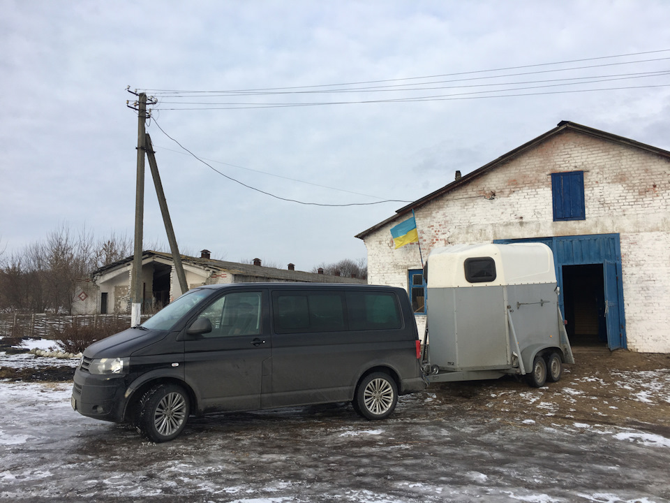 З батманкою Stema привезли коня 2