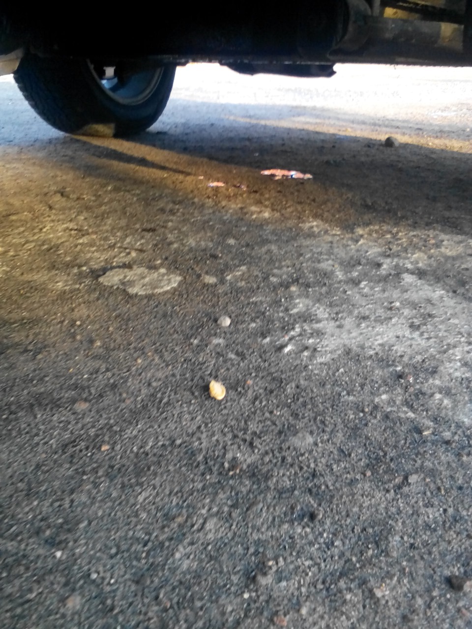 Маленька неприємність 1