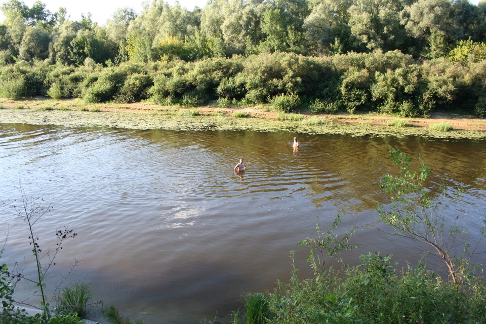 Відпочинок у води 5