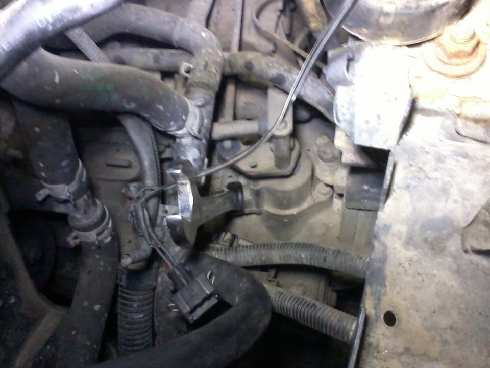 Заміна жаби заднього ходу vw t4 2