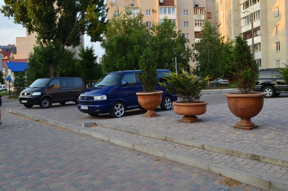 Старий друг краще за нових двох! 3