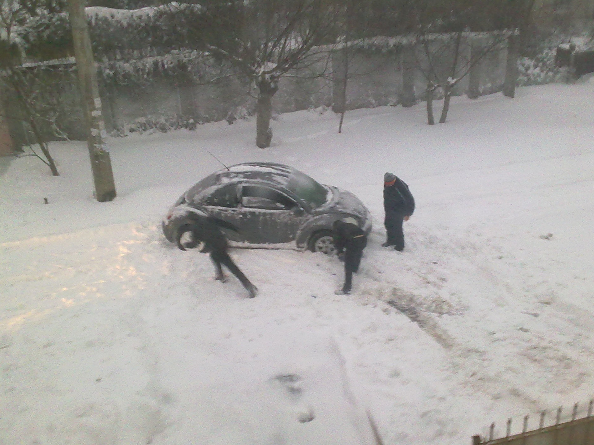 Запис, 19 грудня 2010 року 2