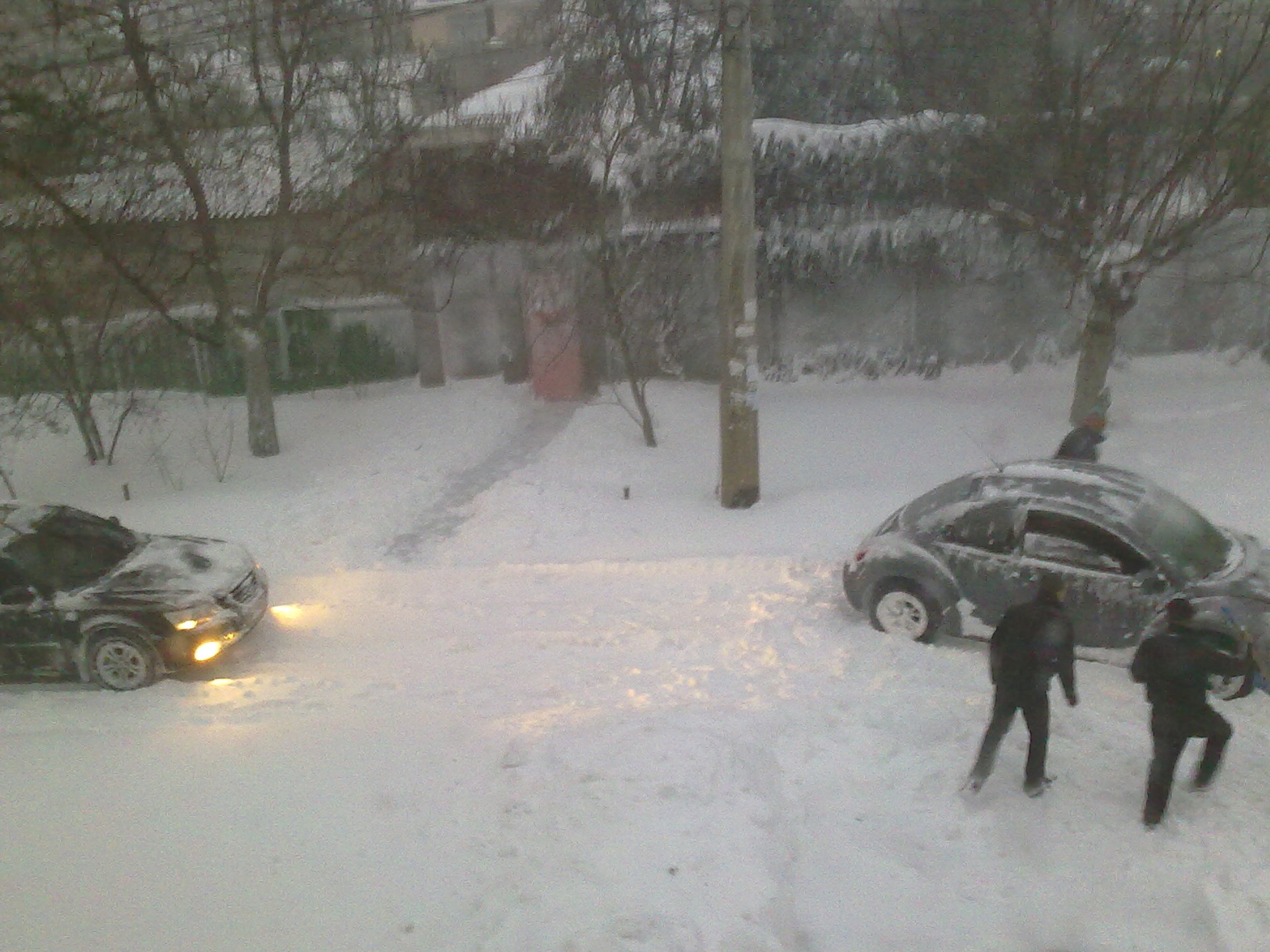 Запис, 19 грудня 2010 року 3