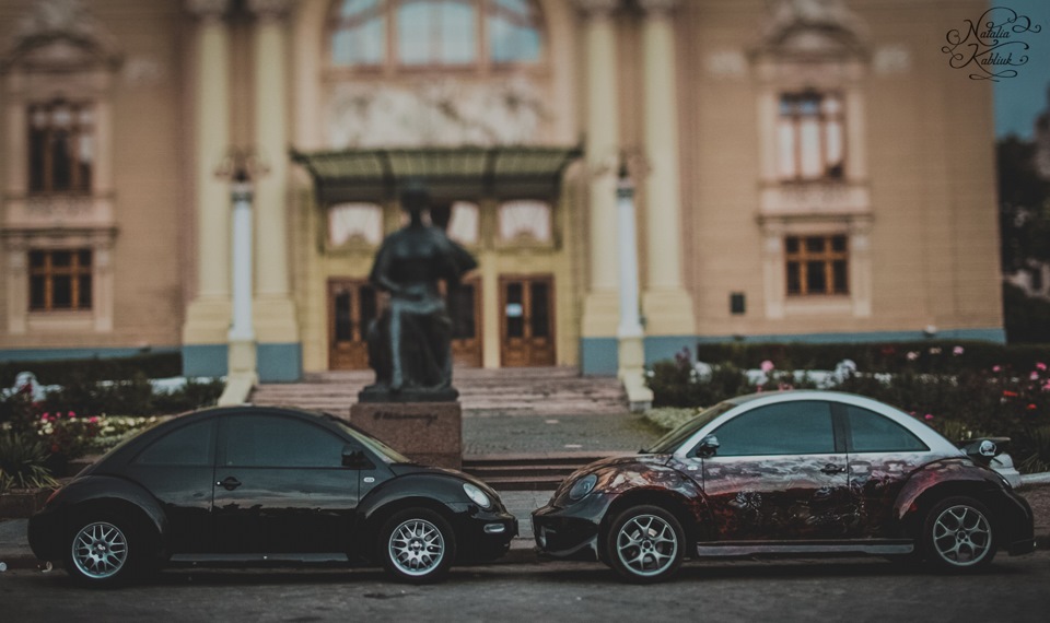 Їздили до Чернівців у гості до крутого Жука 5