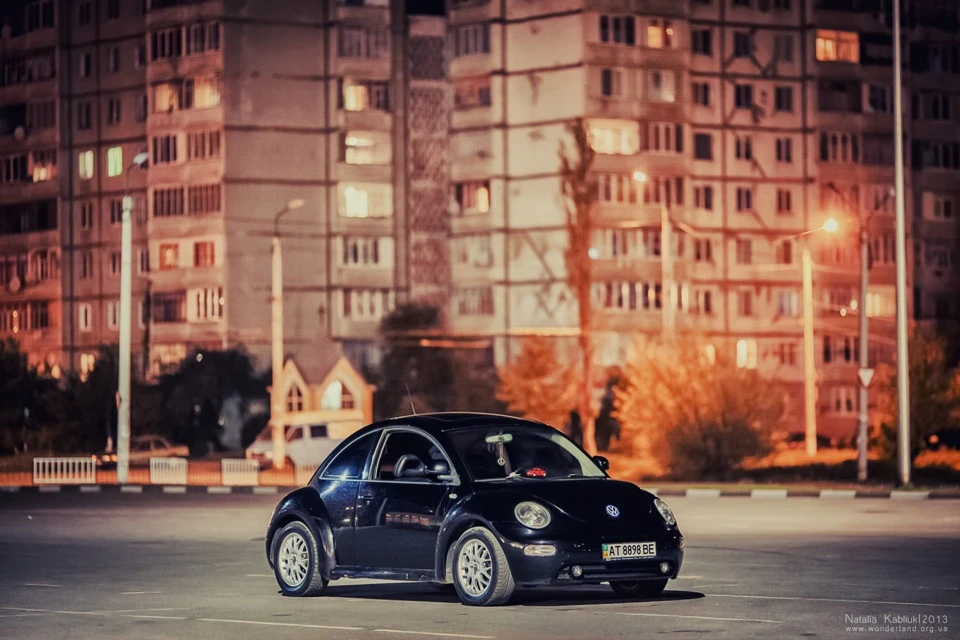 Нічна зйомка Blacky та її друзів :)