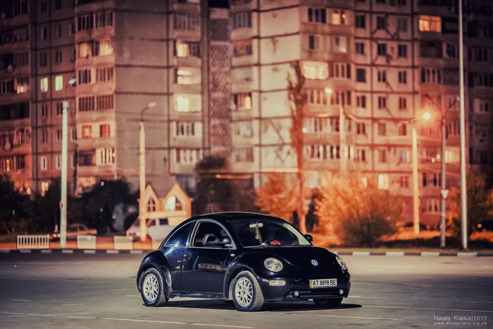 Нічна зйомка Blacky та її друзів :) 1