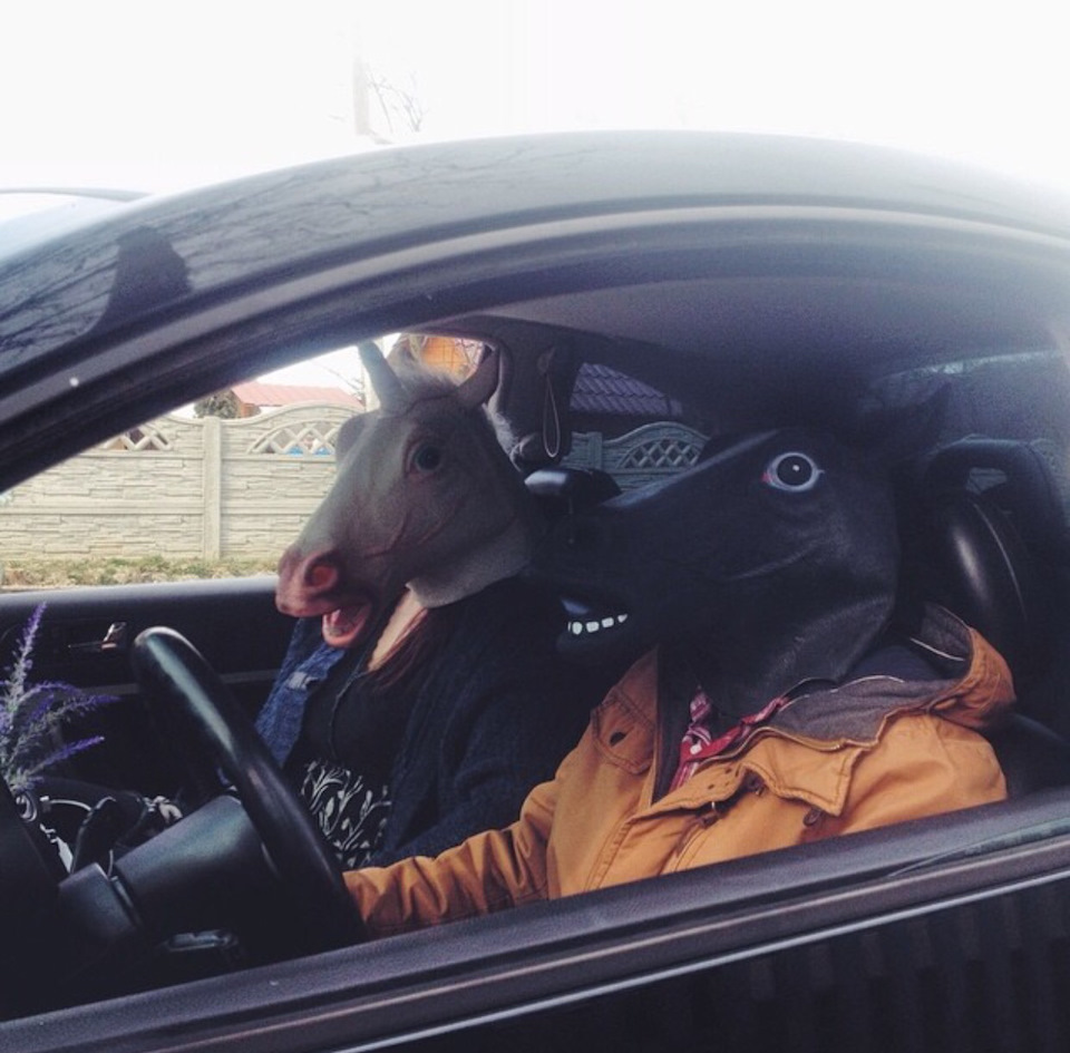 Підбірка фото з New Beetle 3