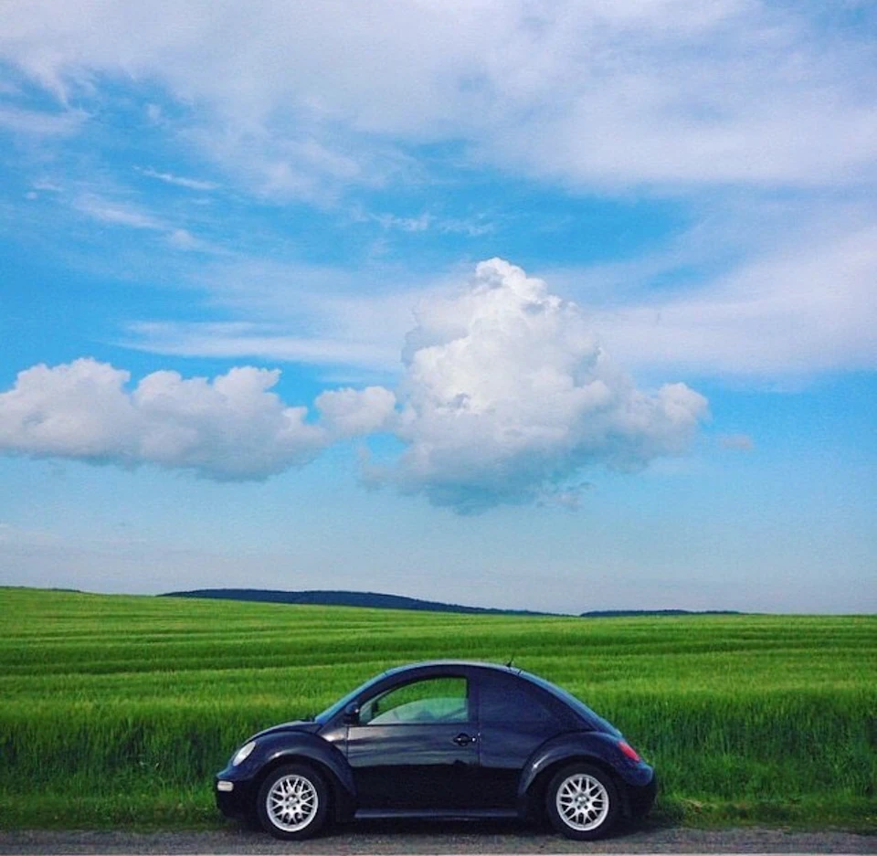 Підбірка фото з New Beetle