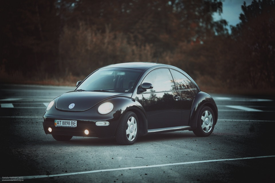 Різні фотки Blacky:) 5