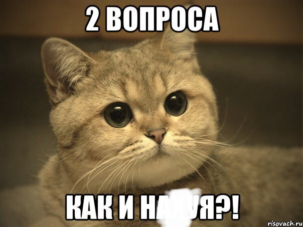 БЖ-8 Нова гума 1