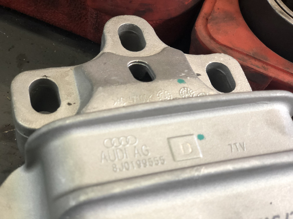 Hydroopora DSG 2