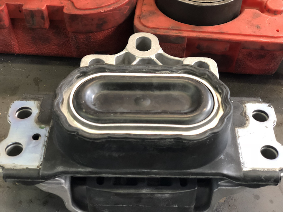 Hydroopora DSG 1