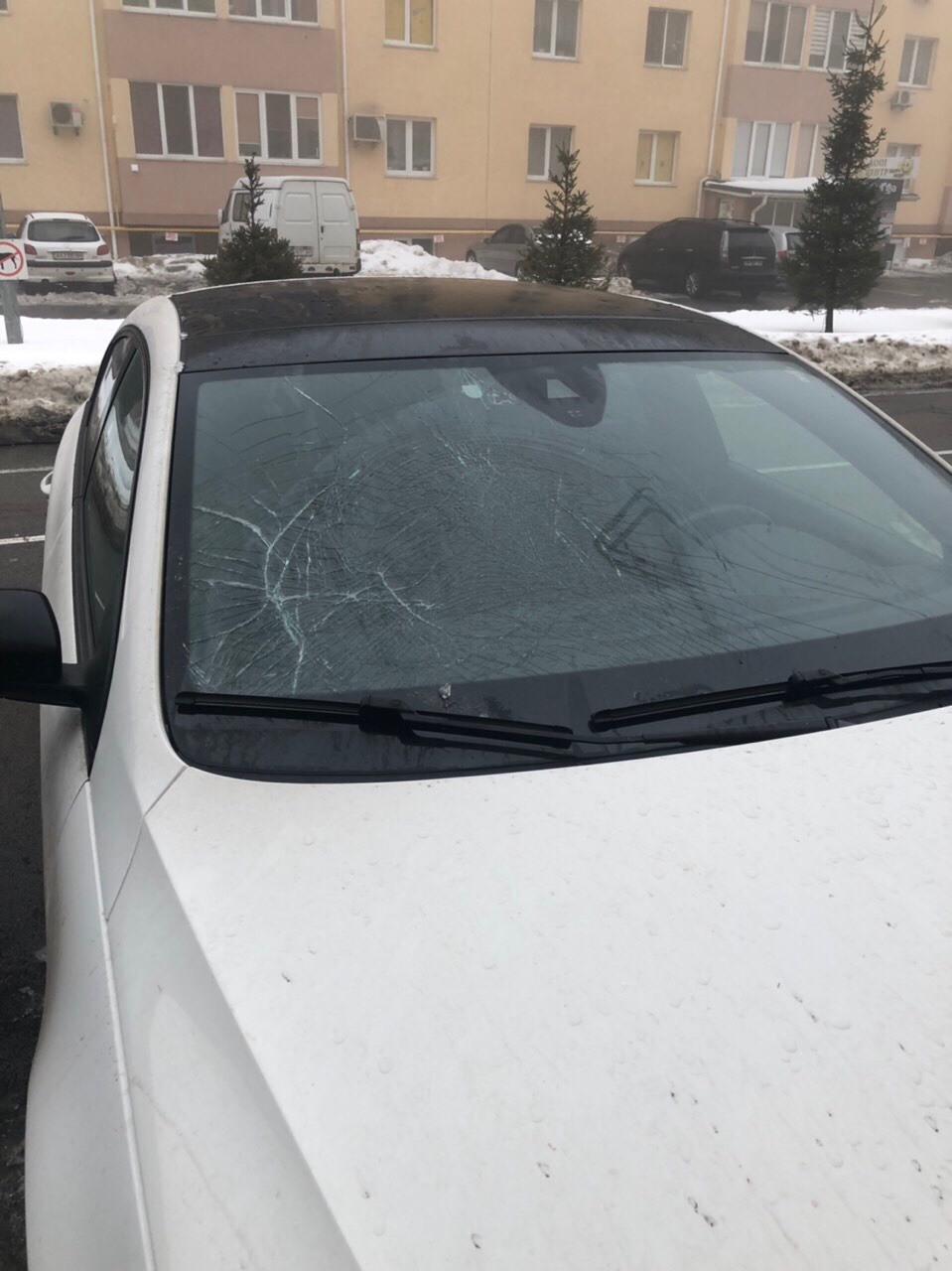 Заміна повідків двірника та самих двірників 1