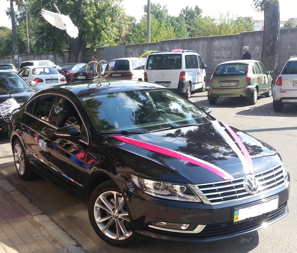 Просто фотка, але яка!)))) Голуб СВІТУ!) 2