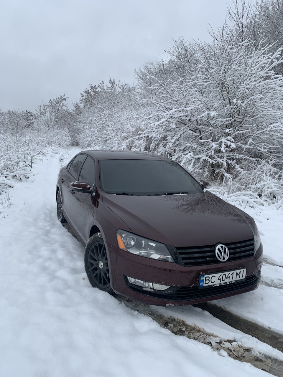 Ой снігу, снігу, білого, насипала ЗИМА... 2