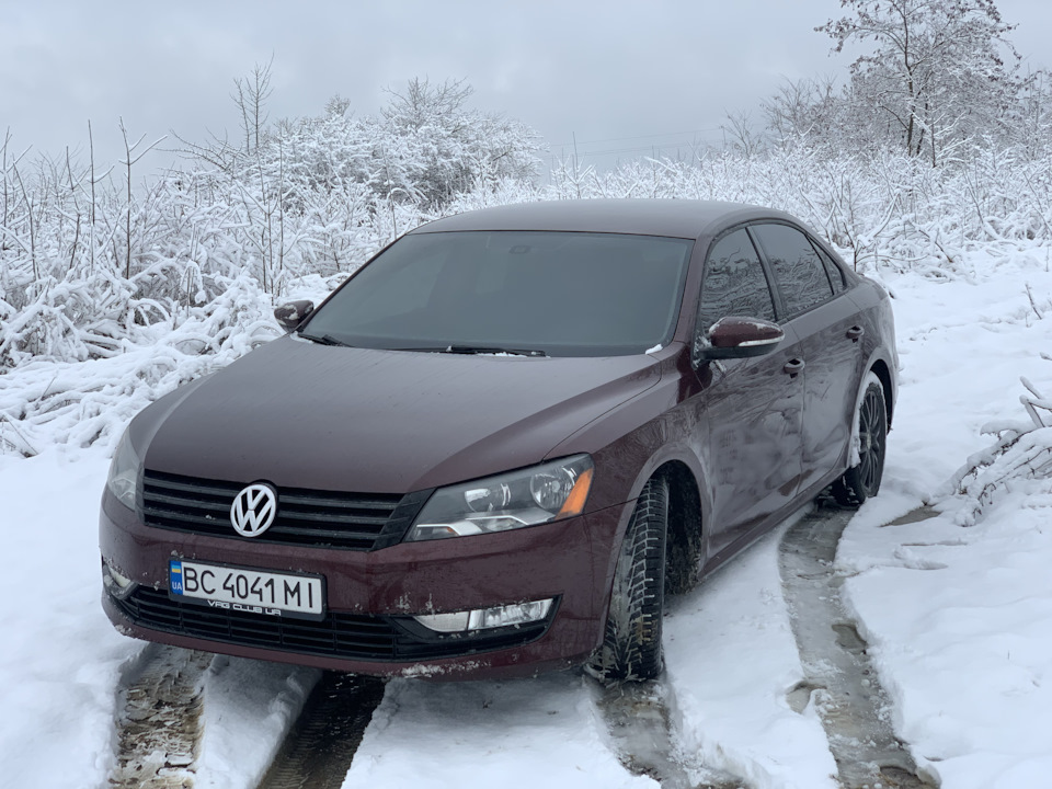 Ой снігу, снігу, білого, насипала ЗИМА... 1