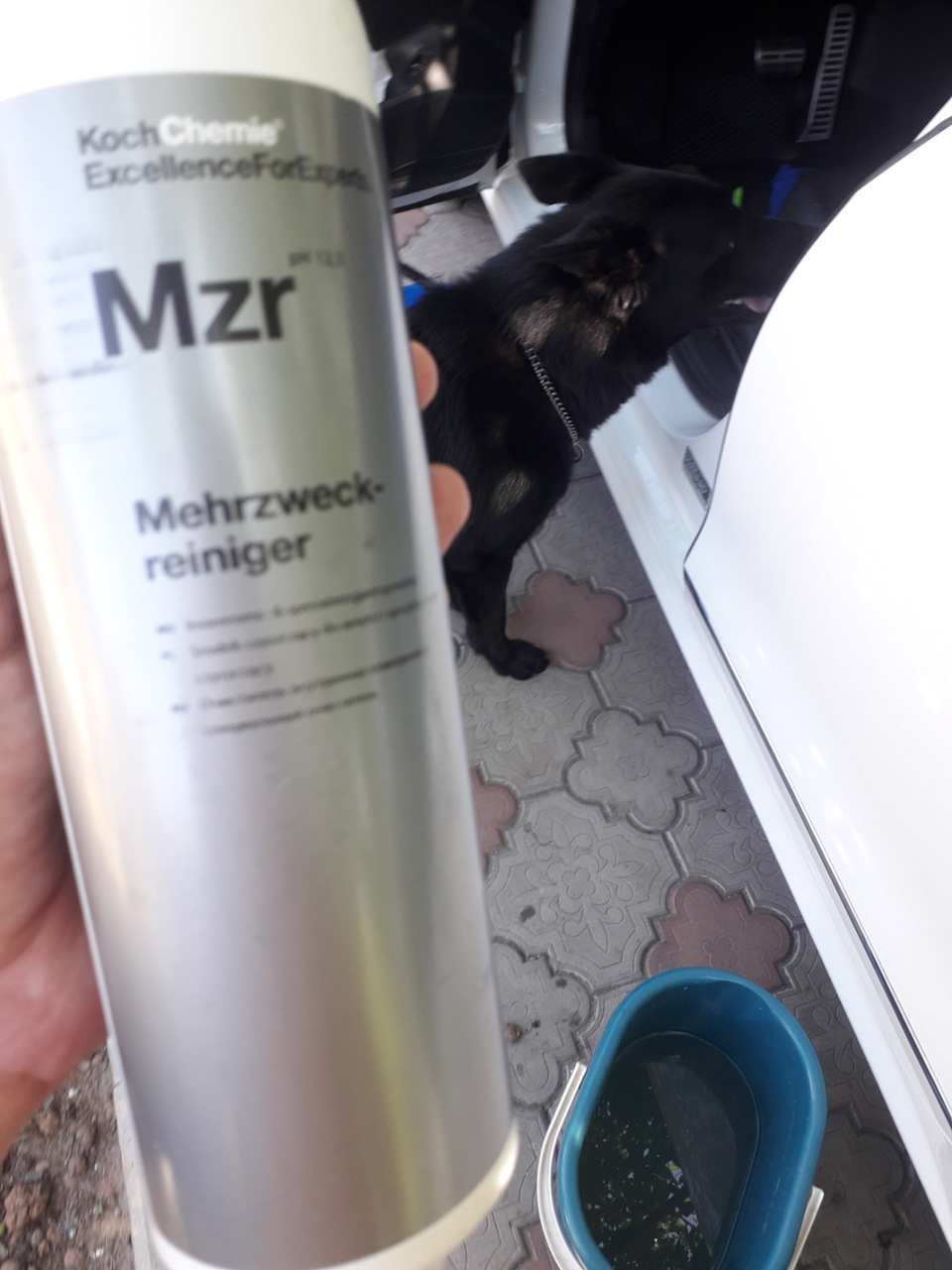 Leather Star Koch для шкіряних виробів в автомобілі. 2