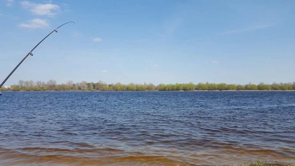 Сиджу, дивлюся, спостерігаю
