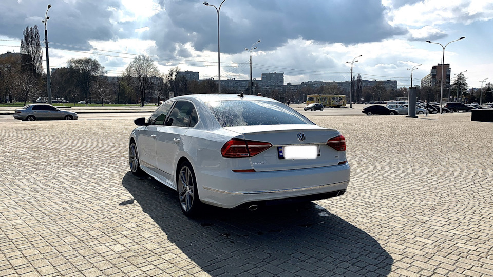 Фото Білка 4