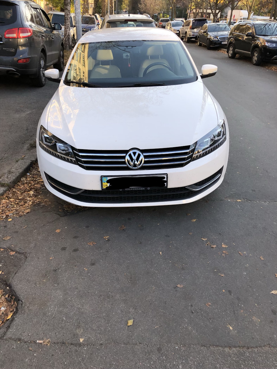 Альтернативна оптика PASSAT B7 USA 1