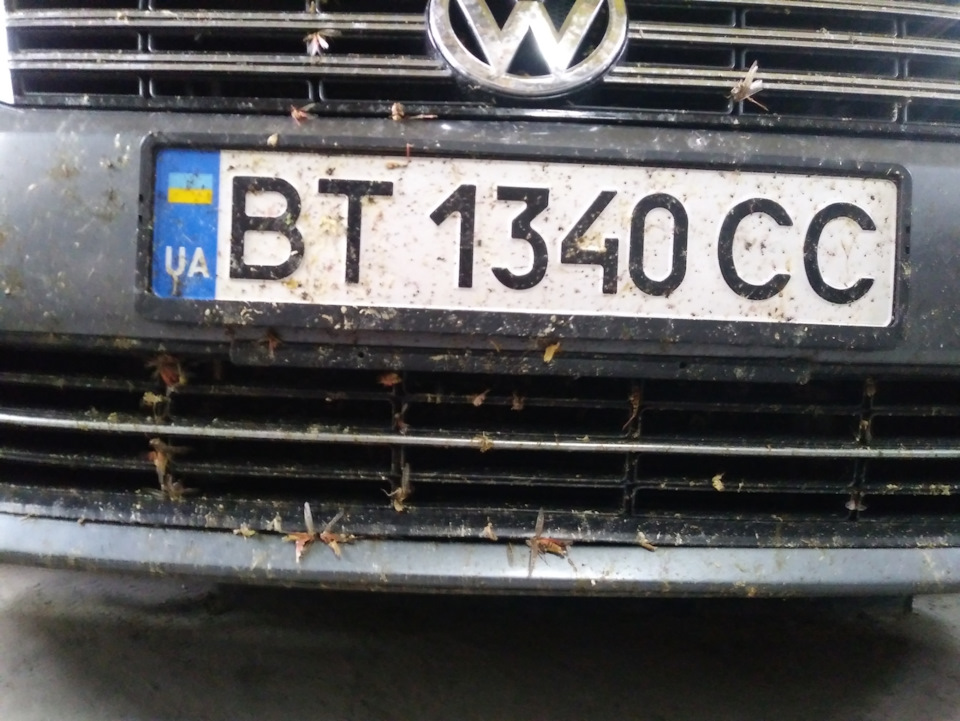 Сітка в решітку 3