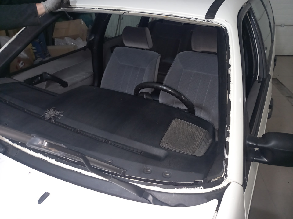 passat живий 4