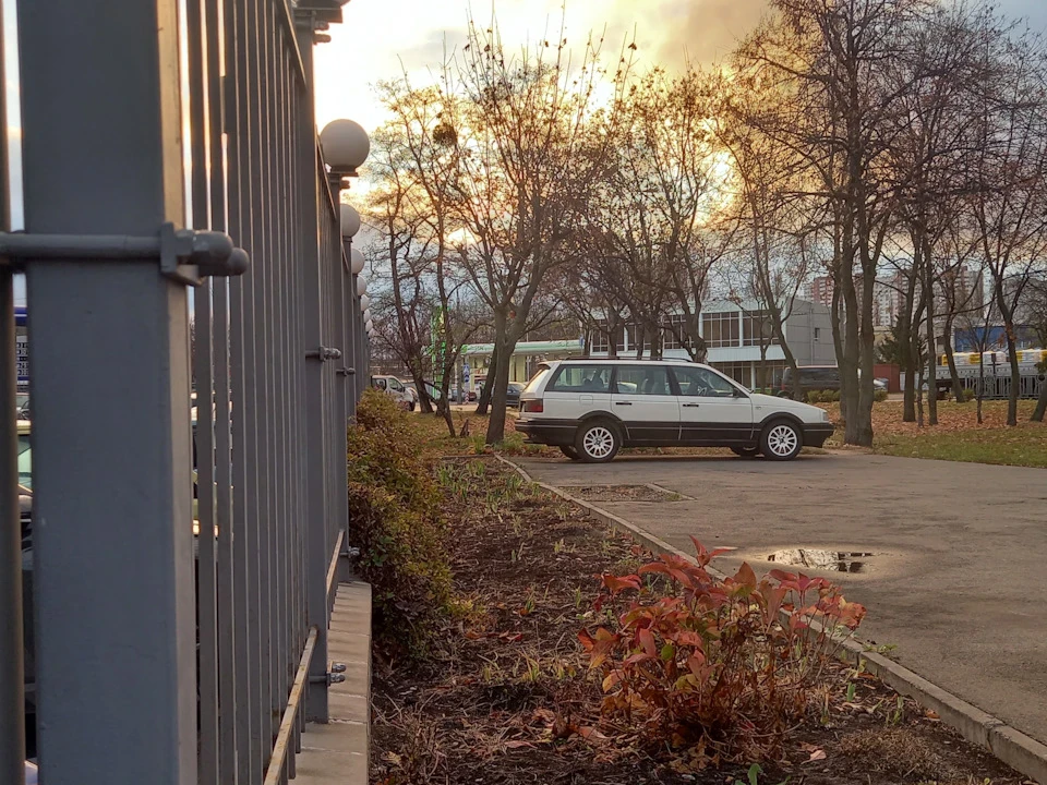 passat живий