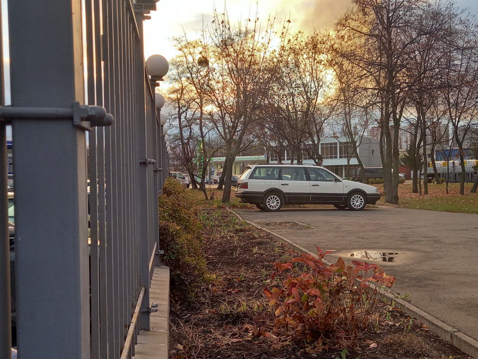 passat живий 1