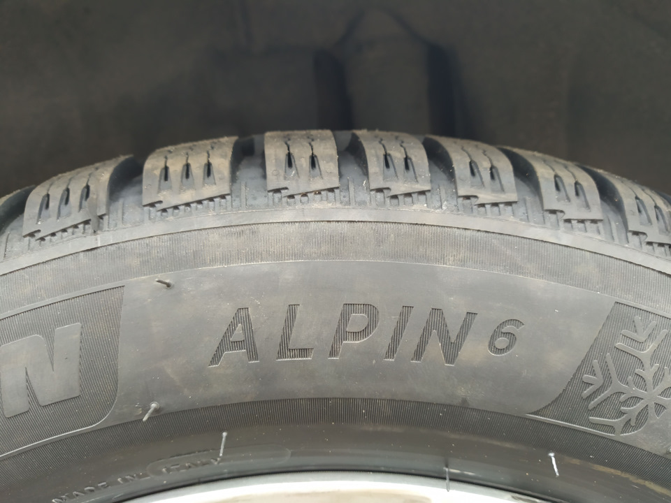 Альпійські ведмедики: Michelin Alpin 6 1