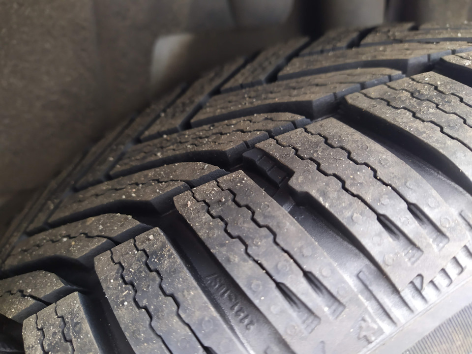 Альпійські ведмедики: Michelin Alpin 6 3