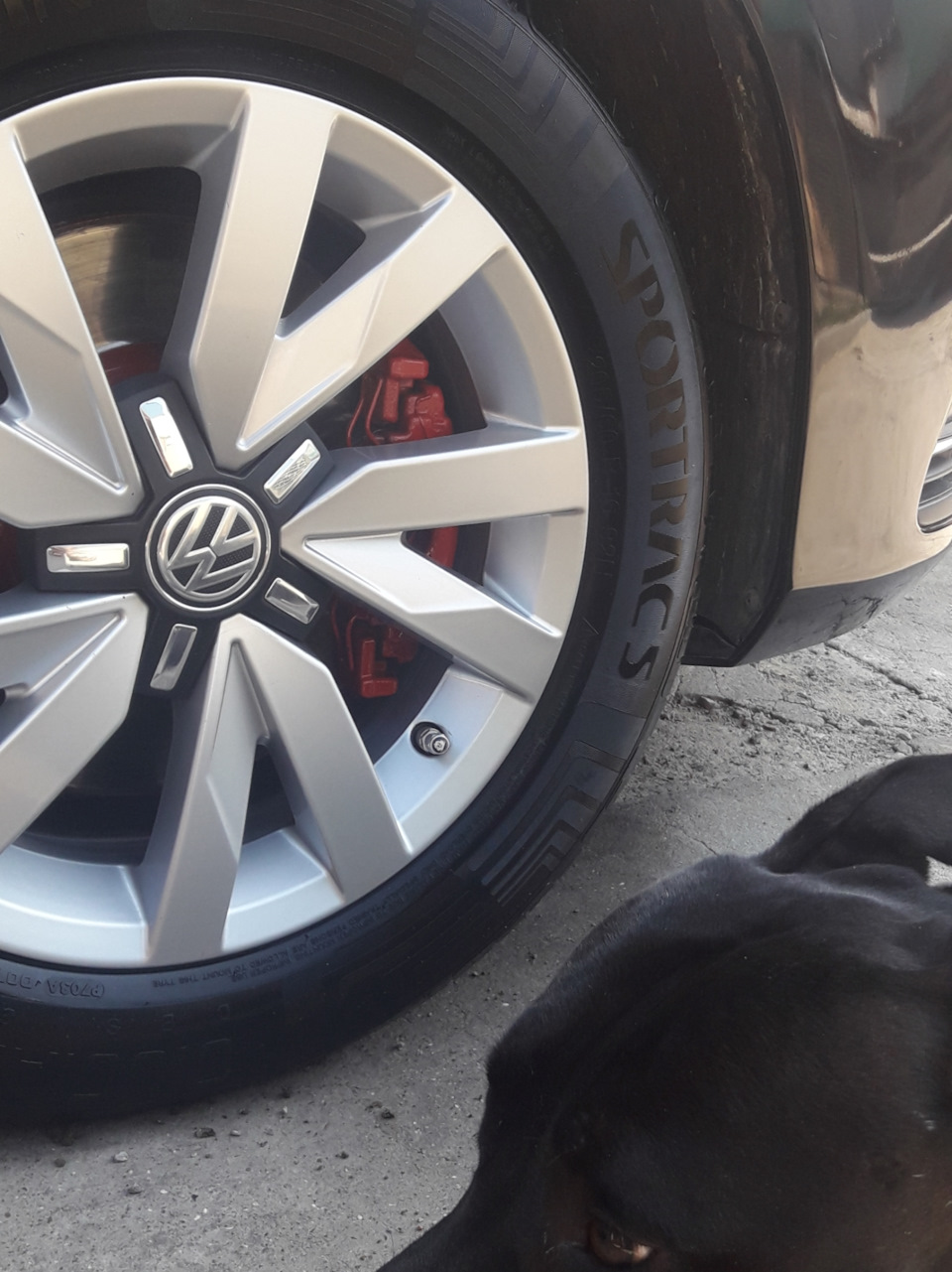 Супортпа на volkswagen passat b7 (червоні суппорти) 4
