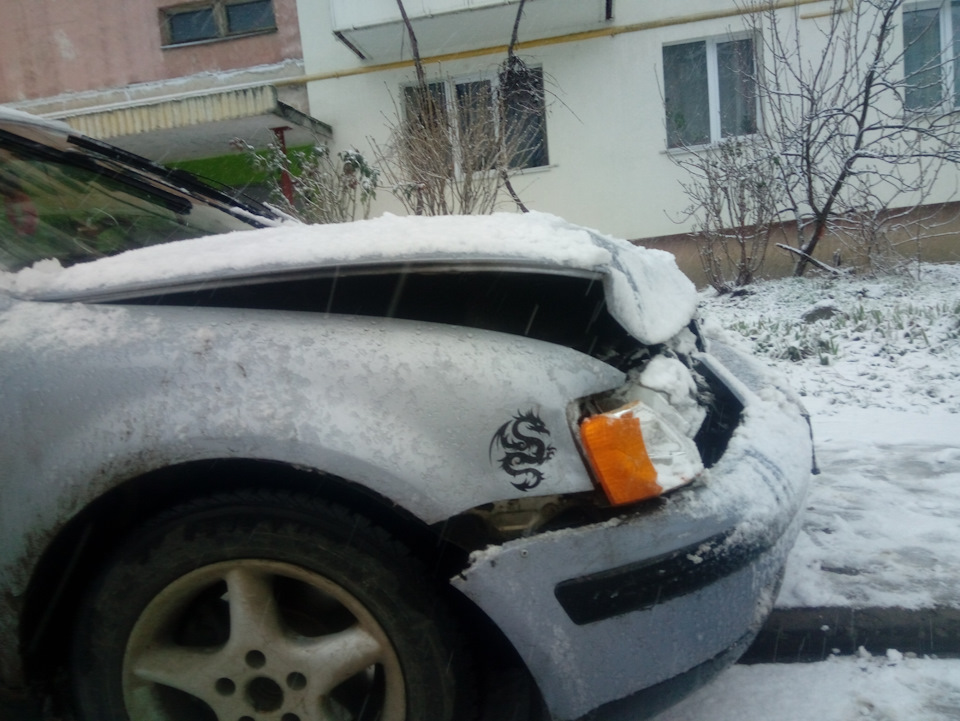 Перший сніг і попадос 5