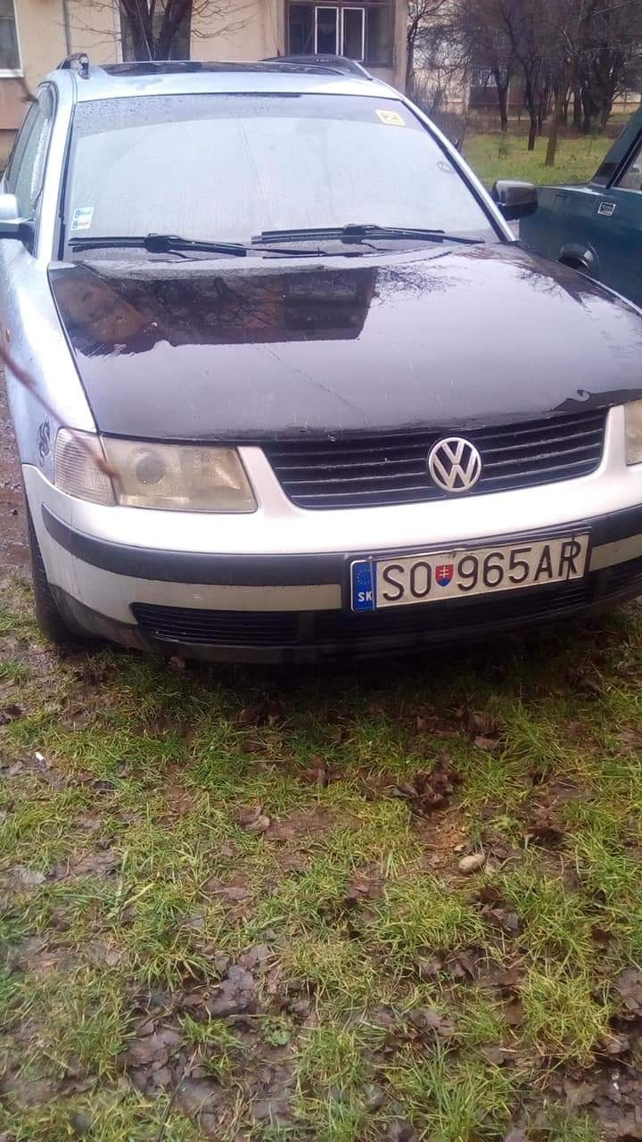 Перший сніг і попадос 1