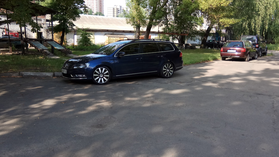 Ромашки. 2