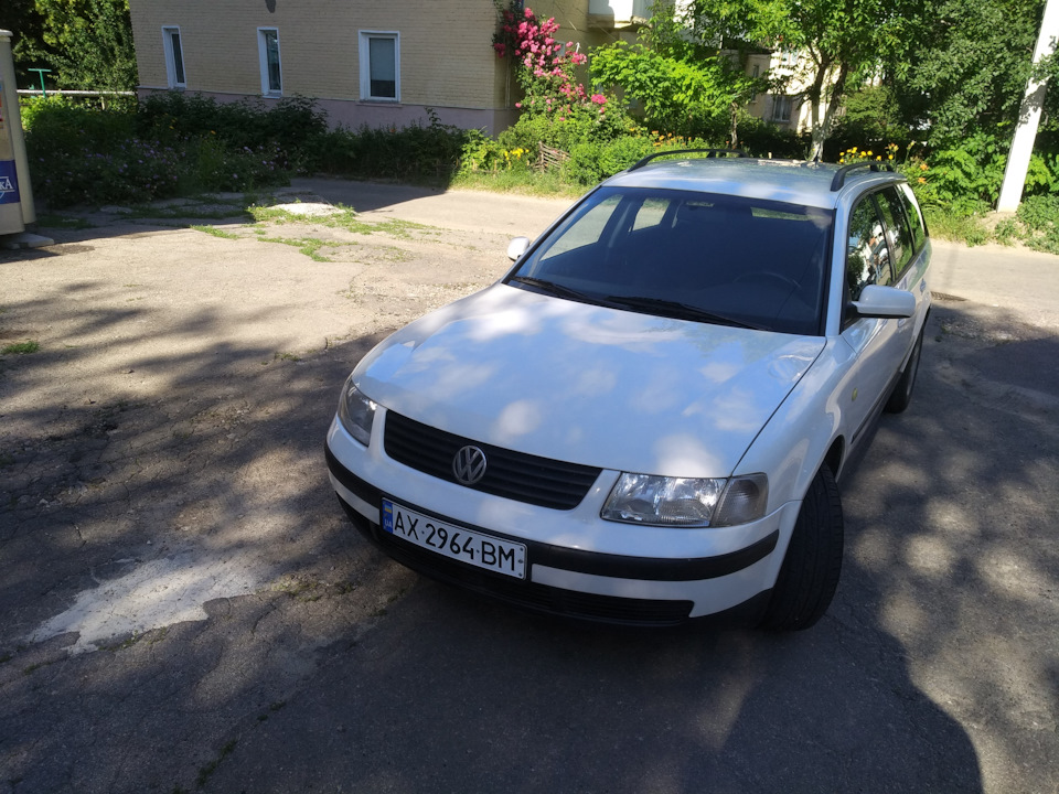 Продам живий пасатик 4950 уе 2
