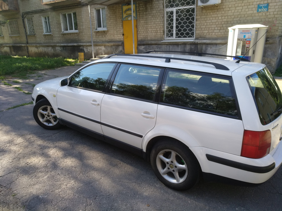 Продам живий пасатик 4950 уе 1