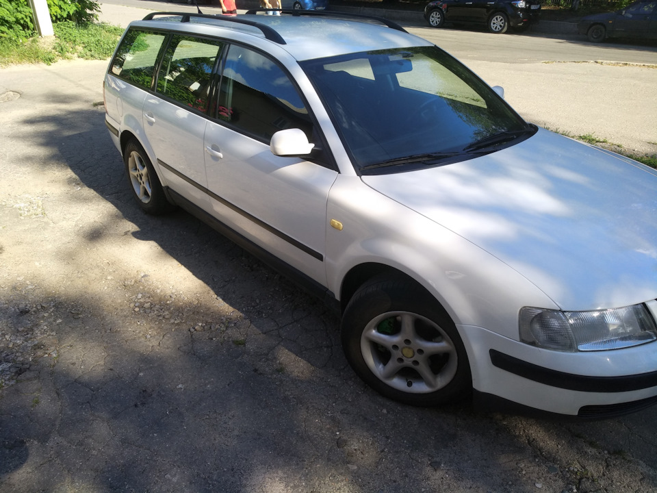 Продам живий пасатик 4950 уе 3