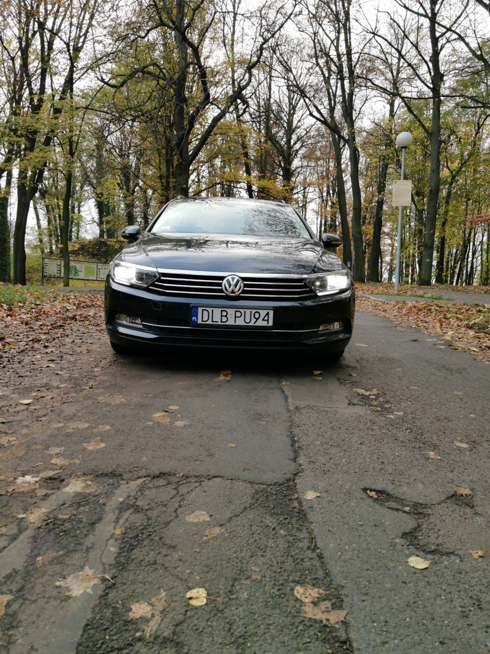 Осінь 3