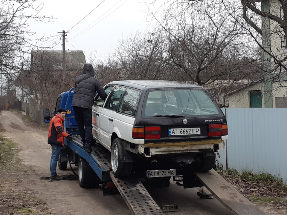 Пасатик поїхав на довгоочікуване фарбування 😏 4