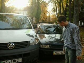олені на дорогах 1