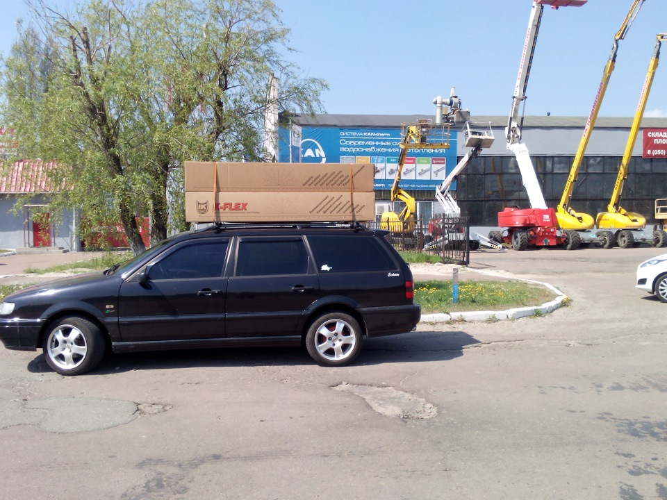 задні амори 1