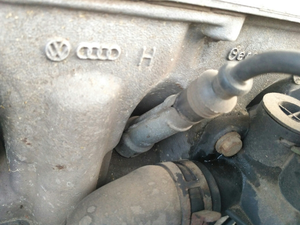 Потіє трійник ОЖ=( 2