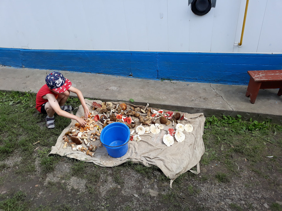 У село по гриби 2