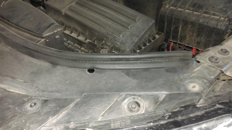 Ущільнювач капота Passat B7 3