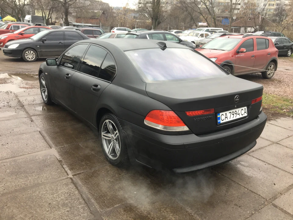 Пташка шкода