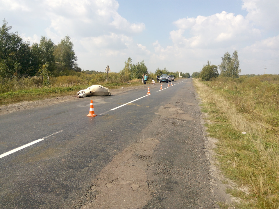Мабуть мало підшаманив машину два місяці тому ... 4