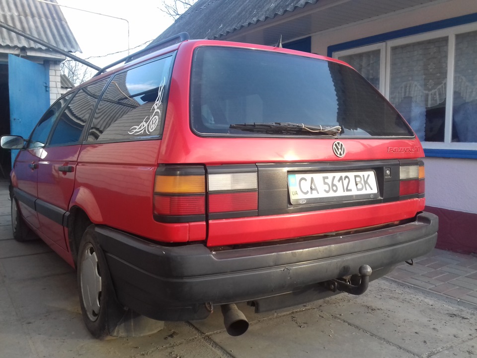 самець 1