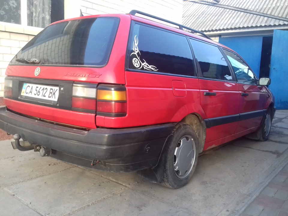 самець 5