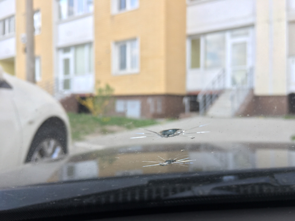 Заміна лобового 1